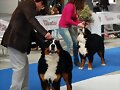 JANIS y BUKI  EN EL RING