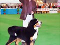 ALFONSO Y JANIS EN VIGO