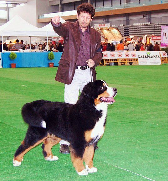 ALFONSO Y JANIS EN VIGO