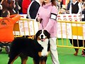 JANIS, EL DIA QUE SAC&Oacute; A LUISA A UN RING