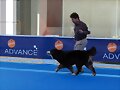 ALFONSO Y JANIS EN TALAVERA