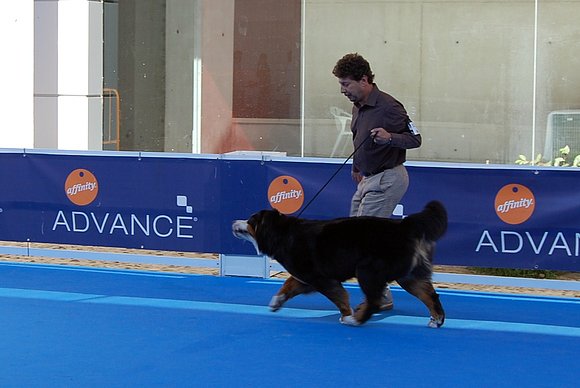 ALFONSO Y JANIS EN TALAVERA