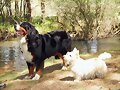 GRACE Y ARIEL, EN EL RIO ERESMA
