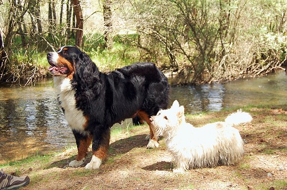 GRACE Y ARIEL, EN EL RIO ERESMA