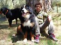 MOZA AL FONDO, JANIS Y ALFONSO