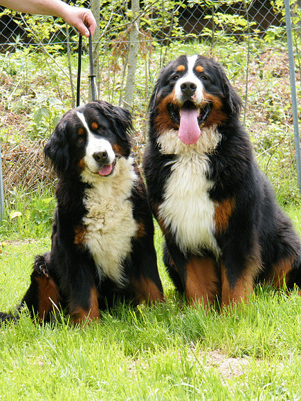 Mamá y hermano de Janis