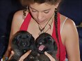 SARA CON DOS DE LOS CACHORROS DE GUS