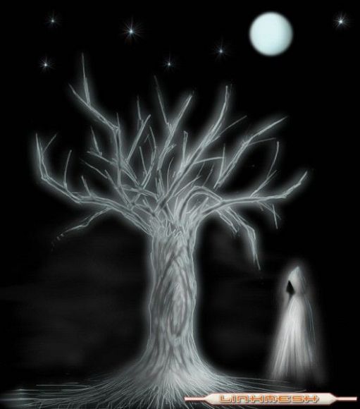 xXxArbol_de_la_nochexXx