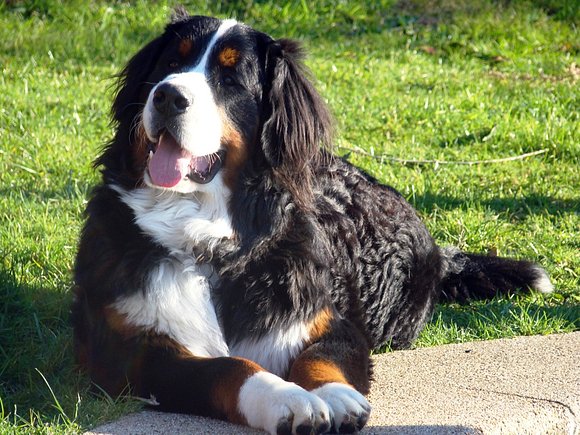 Pancho casi 9 meses