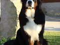 Pancho el &quot;peque&quot; con 12 meses