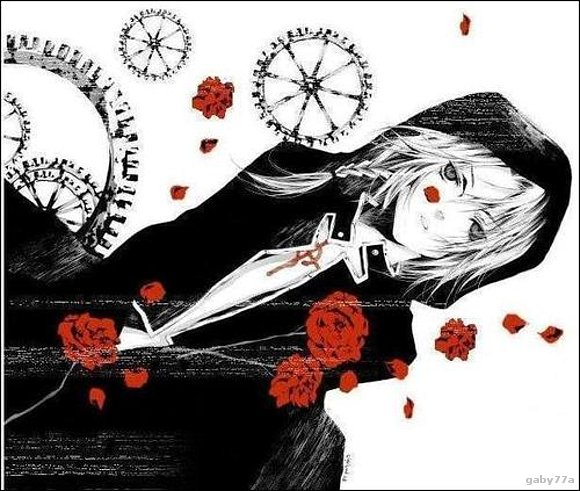 rosas rojas