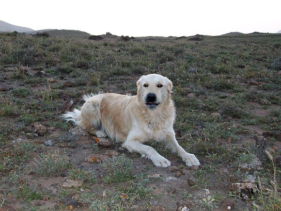Balú, guapo!!!!!!!!!!!!!!!!