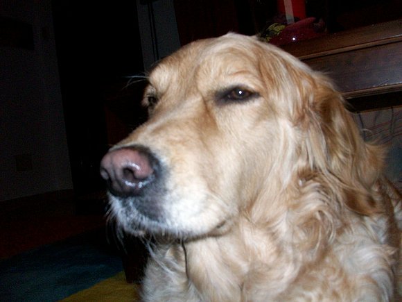 Mi Reina