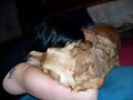 Cuanto amor...
