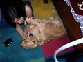 Ais, mi Reinita!!!