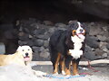 Lana y Bal&uacute; julio 09