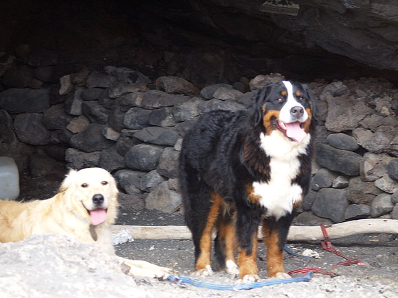 Lana y Balú julio 09