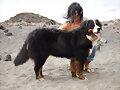 Lana en la playa julio 09