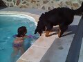 Vigilante de la piscina