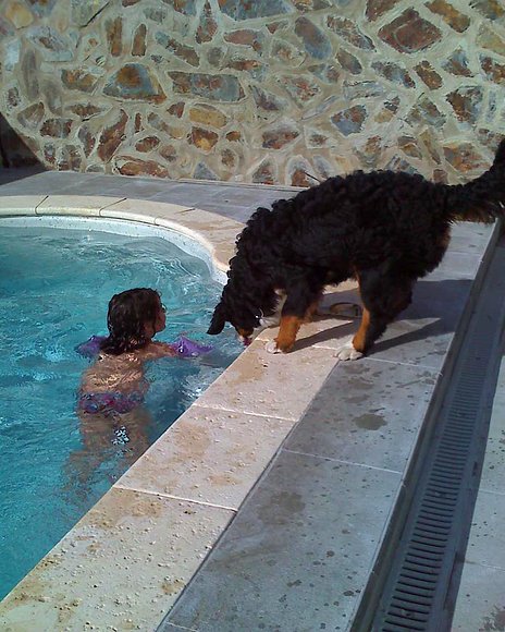 Vigilante de la piscina