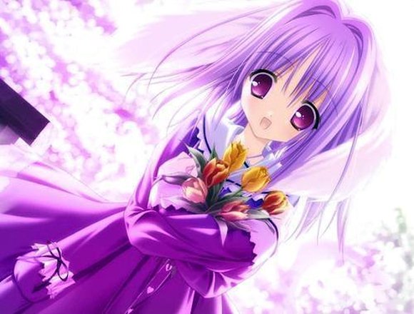 Flores