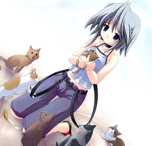 Gatitos
