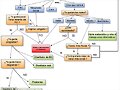 Bonito diagrama