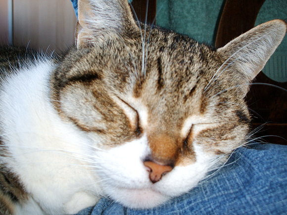 COCO ¡¡¡