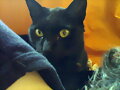 carlitos &iexcl;&iexcl;&iexcl;