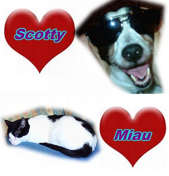Scotty y Miau
