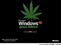 Micropot WINDOWS &iexcl;xp //ganja edition//