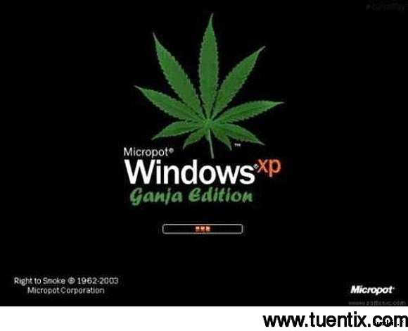 Micropot WINDOWS ¡xp //ganja edition//
