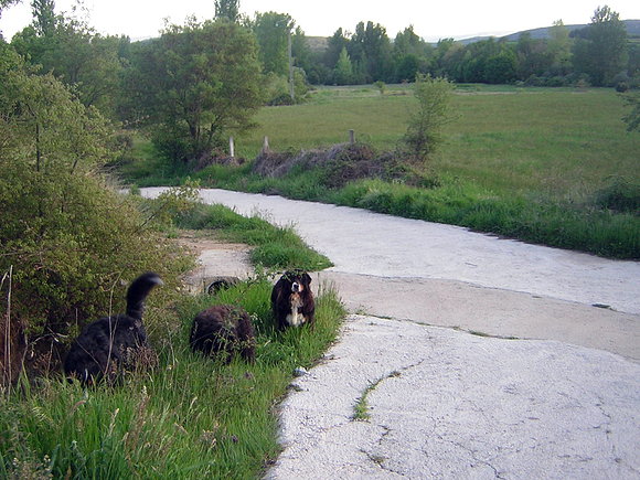 paisaje