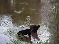 mateo y volga
