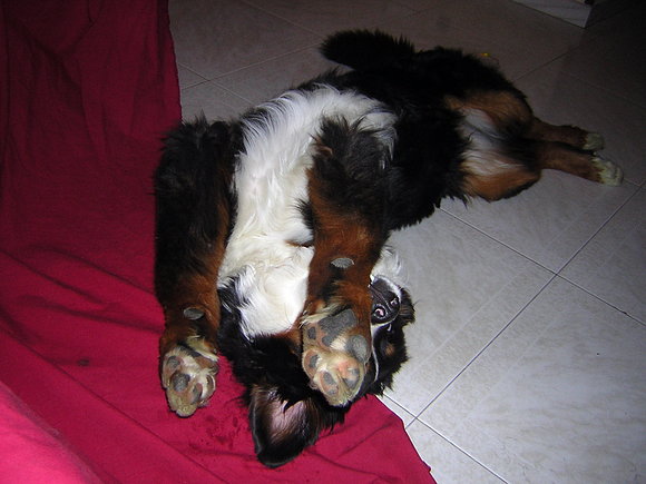 mateo................
