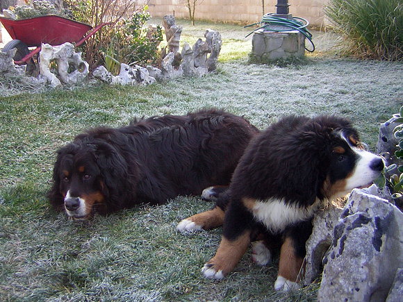 volga y mateo