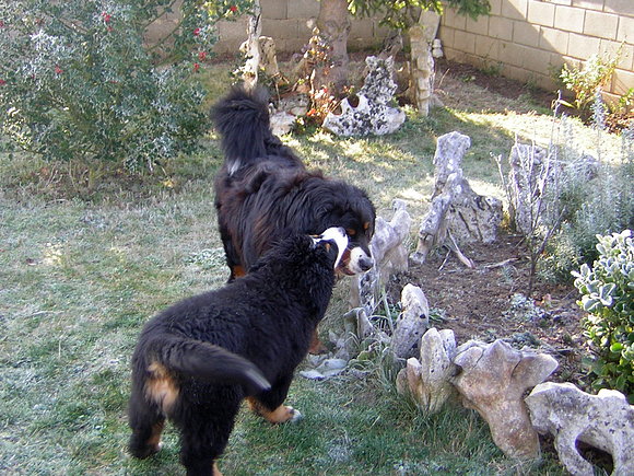 mateo y volga