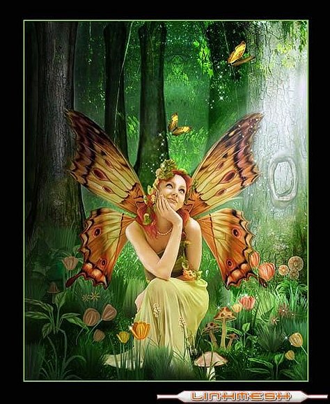 hada mariposas