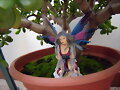 Nadia en el mini arbol