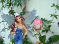 Seelie con el rosal