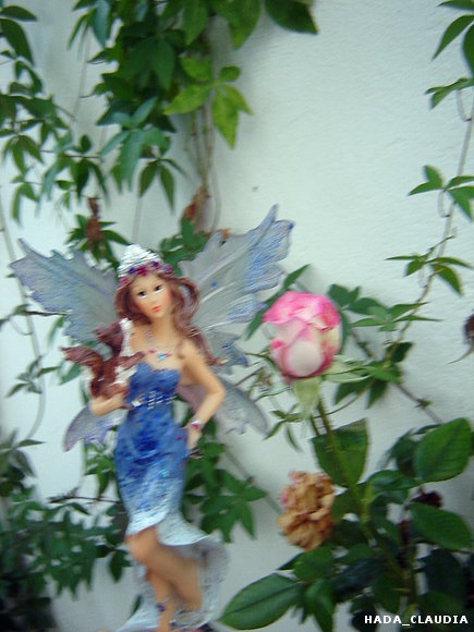 Seelie con el rosal
