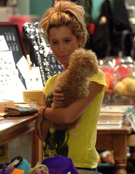 ashley tisdale  NOVEDAD