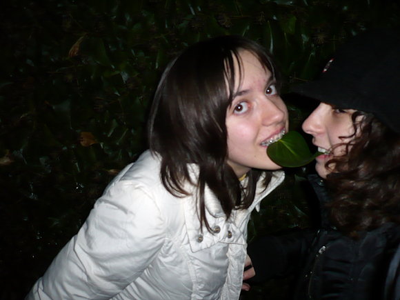 Karlii [&] íìo...teQ*
