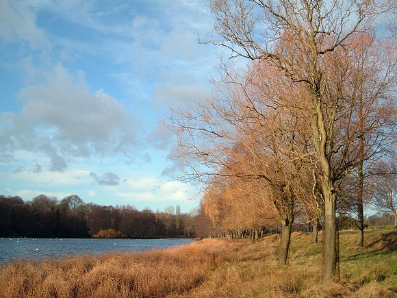 Lago de Wollaton Hall