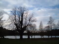 Parque de Wollaton Hall