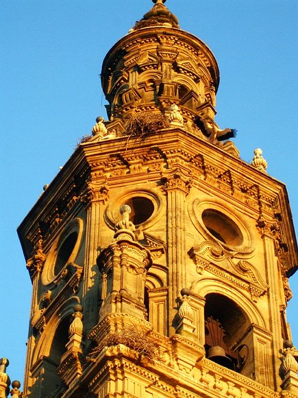 Concatedral Santa María la Redonda (Logroño)