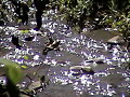 Tour Rio yaguary