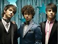 dia special de los jonas brothers*