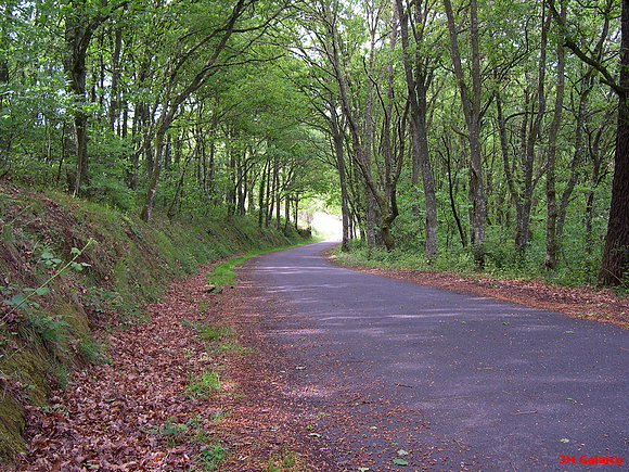 CARRETERA DE MARZAN