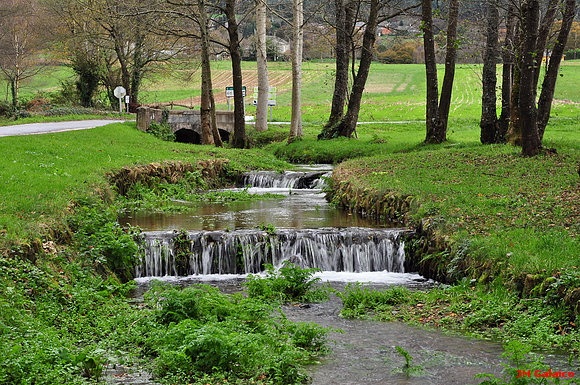 RIO MIÑO EN "AS CORVACEIRAS" (FEITO UN RAPAZ)